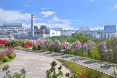 河鋼集團唐鋼公司低壓控制柜、PLC控制柜、中控室系統(tǒng)
